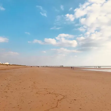 Du Golf, Standing, Piscine, Foret Et Ocean 公寓 圣让-德蒙