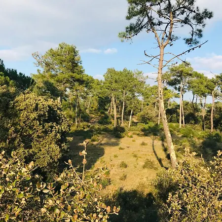 Apartment Du Golf, Standing, Piscine, Foret Et Ocean