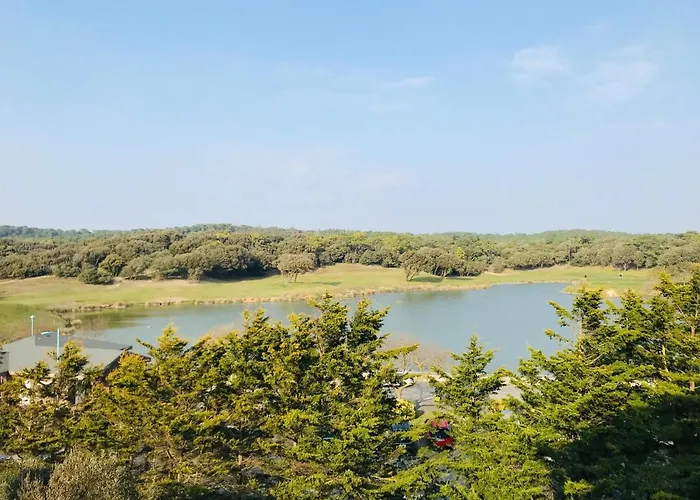 Du Golf, Standing, Piscine, Foret Et Ocean *