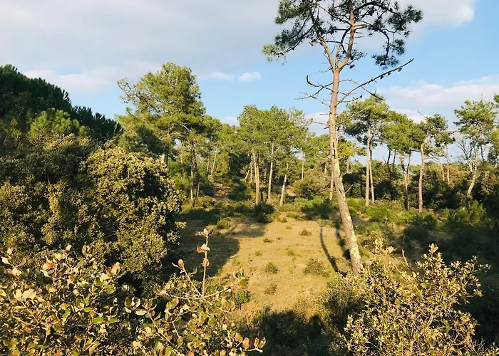 Apartamento Du Golf, Standing, Piscine, Foret Et Ocean